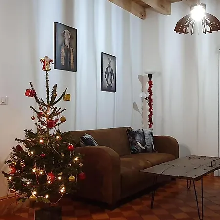 Semesterbostad Maison 19eme Renovee Avec Terrasse Et Bornes De Recharge - Fr-1-489-406 *